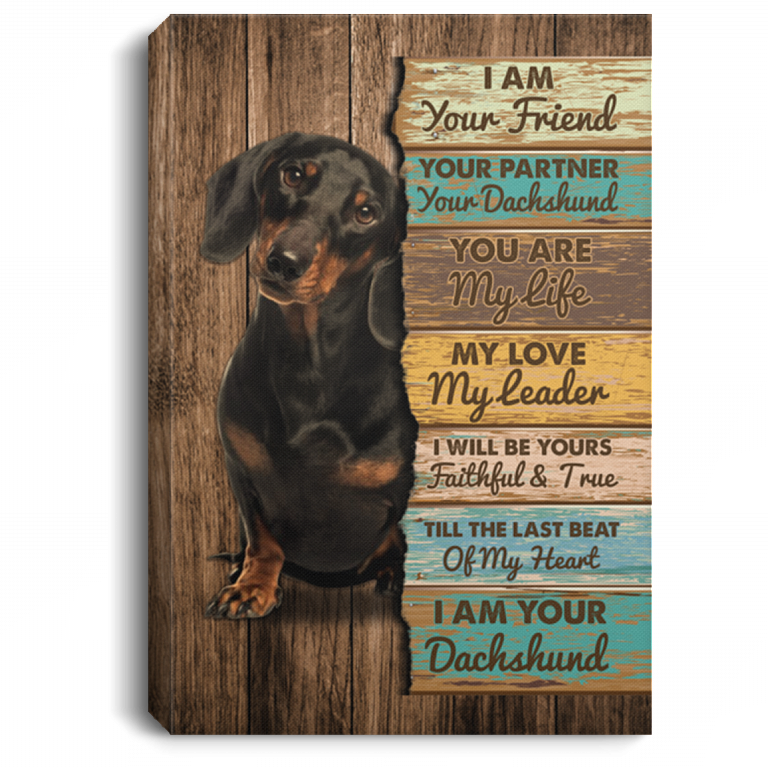 I Am Your Friend Your Partner Your Dachshund Framed Canvas - Unframed Poster, White, 0.75'' Framed Canvas
