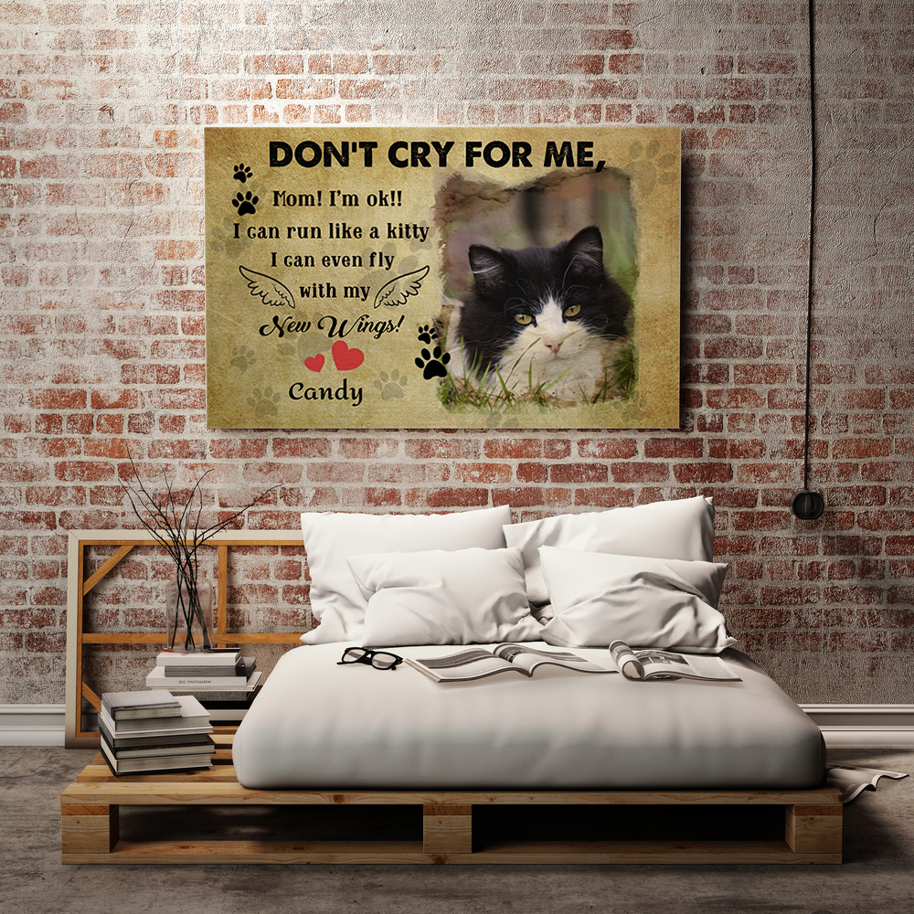 2VT.Don't Cry For Me Cat tuxedo cat mk2