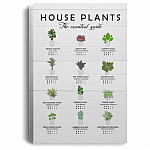 House Plants The Essential Guide Gallery Wrapped Framed Canvas Prints – Plant Lover Gift Unframed Poster, White, 0.75'' Framed Canvas House Plants The Essential Guide Gallery Wrapped Framed Canvas Prints – Plant Lover Gift Unframed Poster, White, 0.75'' Framed Canvas