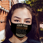 8H. Real Pandemic mk