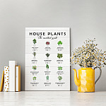 5KN. House Plants MK1