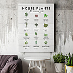 5KN. House Plants MK2