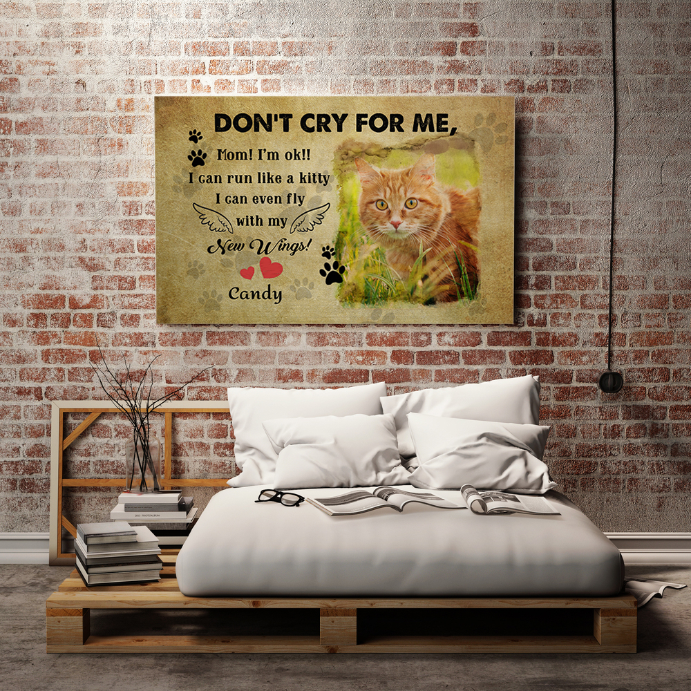 2VT.Don't Cry For Me Cat yellow cat mk2