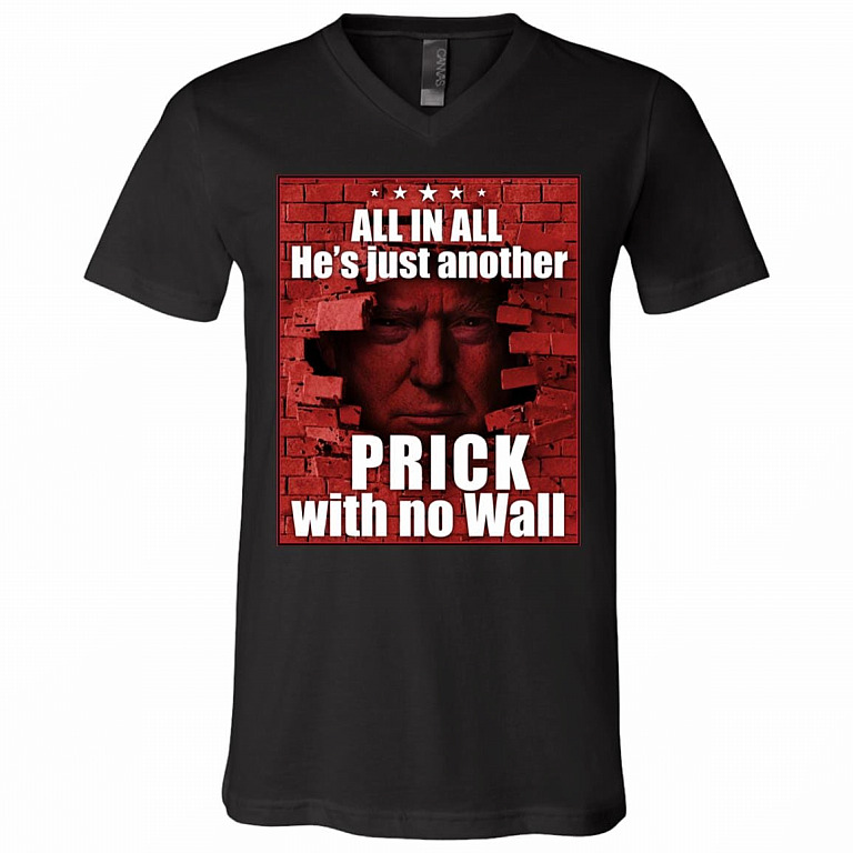 All in All He's Just Another Prick with No Wall Trump T-Shirt, Black, V-Neck T-Shirt