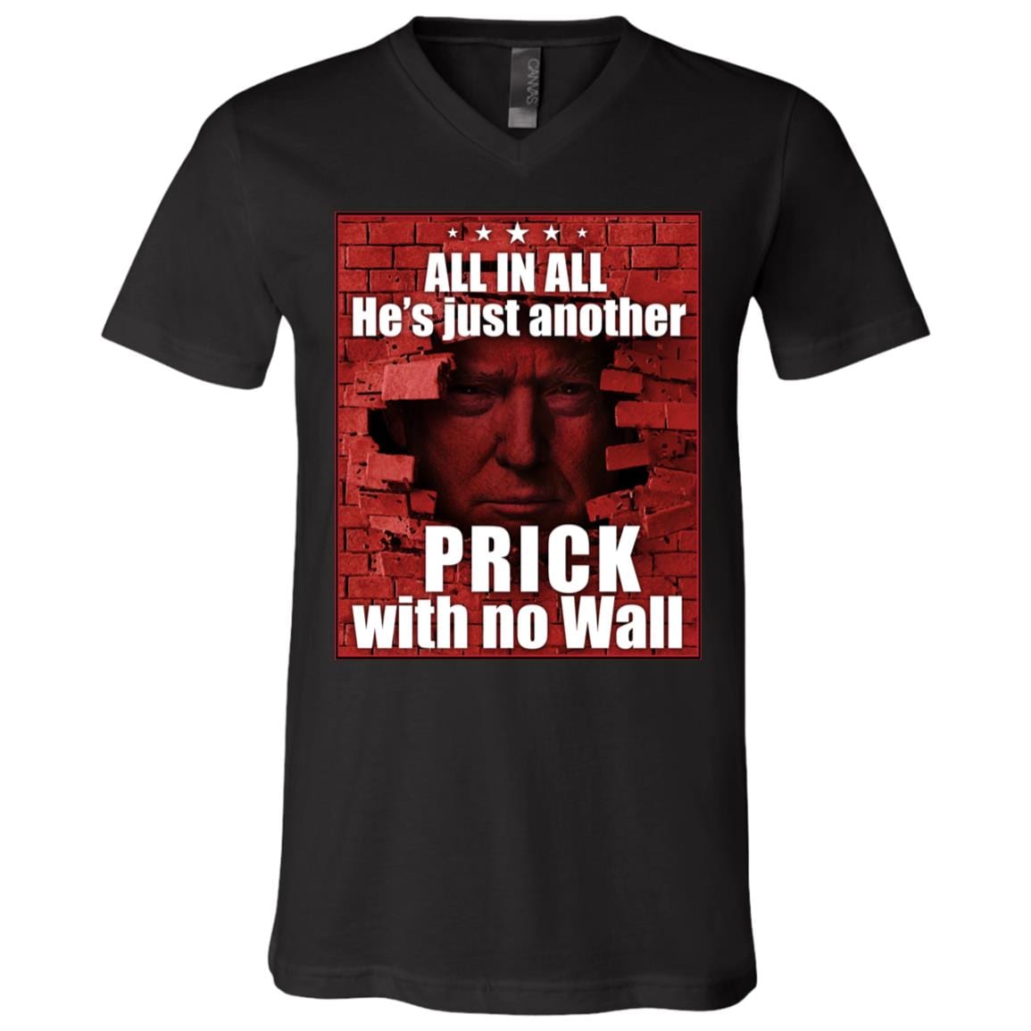 All in All He's Just Another Prick with No Wall Trump T-Shirt, Black, V-Neck T-Shirt