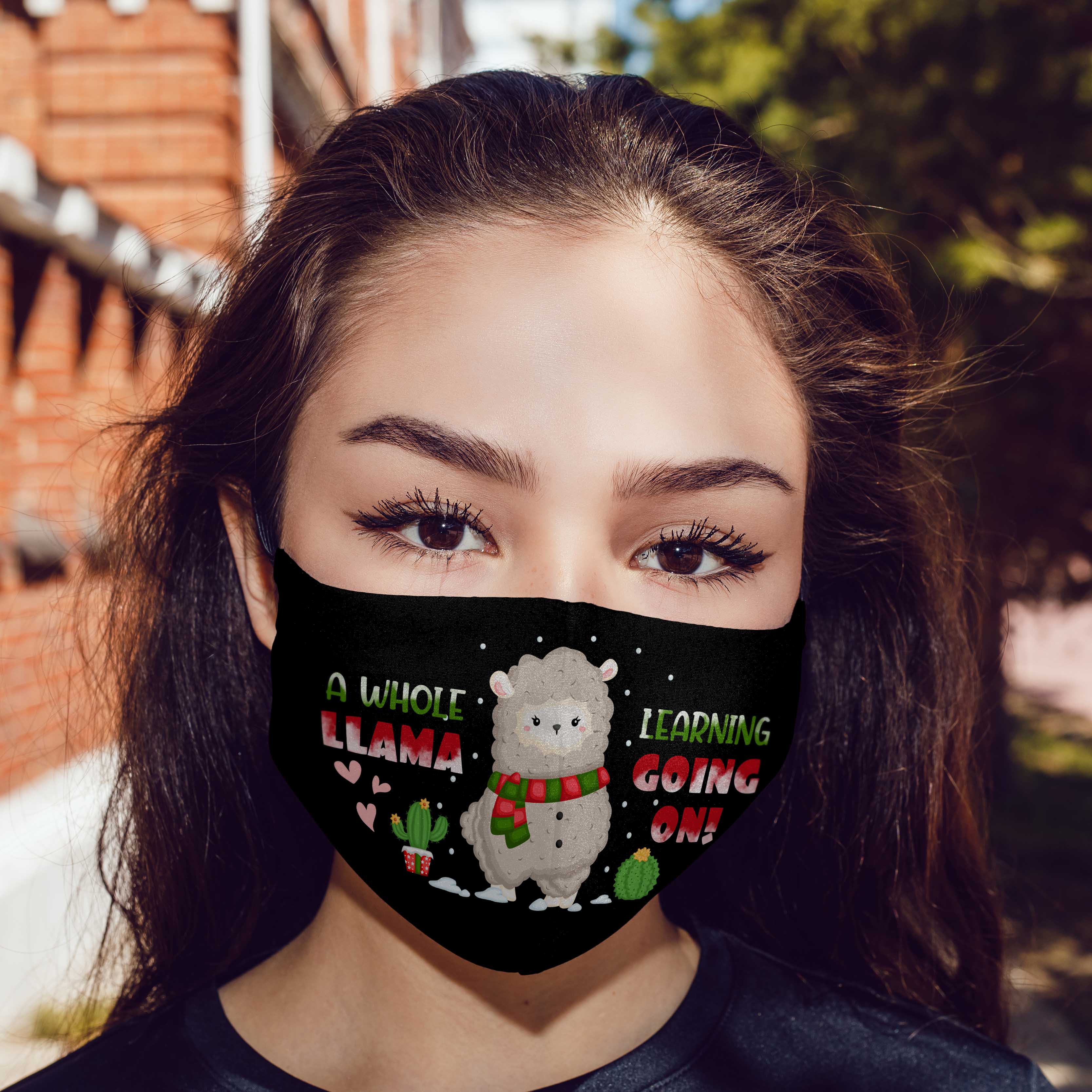 9KN. Llama Learning MK