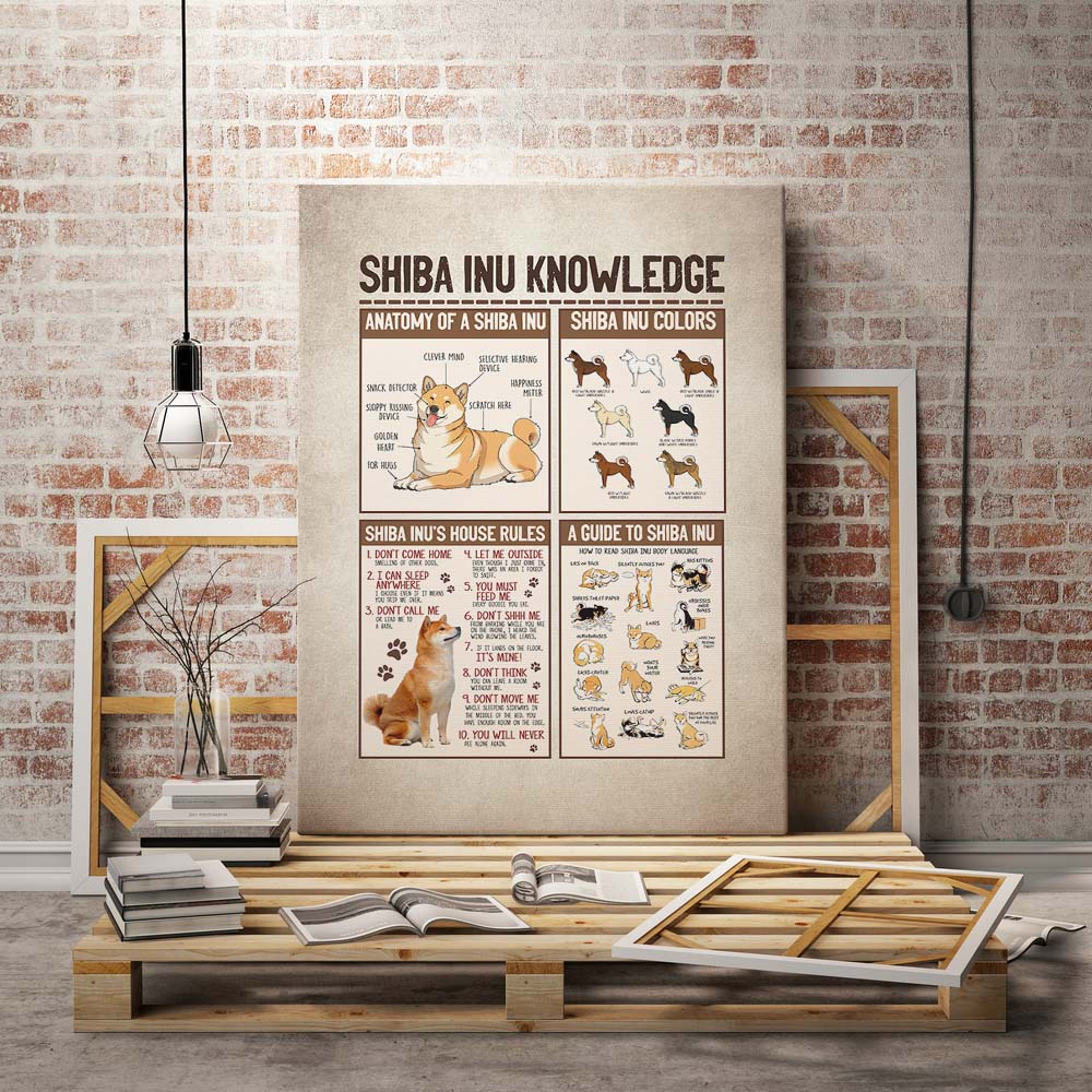 8Th. Shiba Inu Knowledge mk1