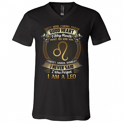 V-Neck T-Shirt