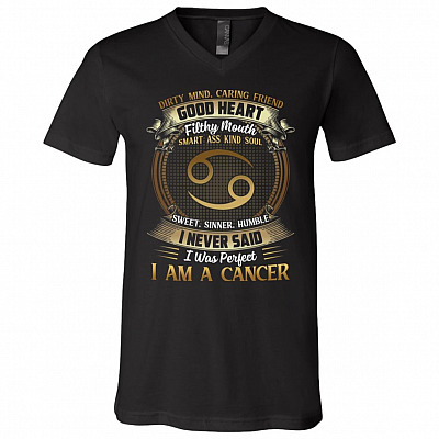 V-Neck T-Shirt