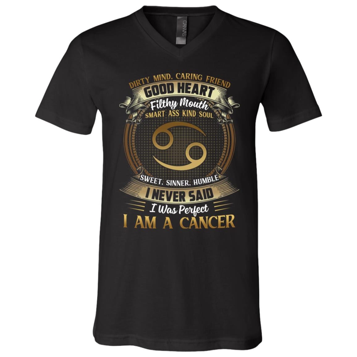 Cancer Dirty Mind Caring Friend Good Heart Filthy Mouth I Never Said I'm Perfect Zodiac T-Shirt - V Neck, Black, V-Neck T-Shirt