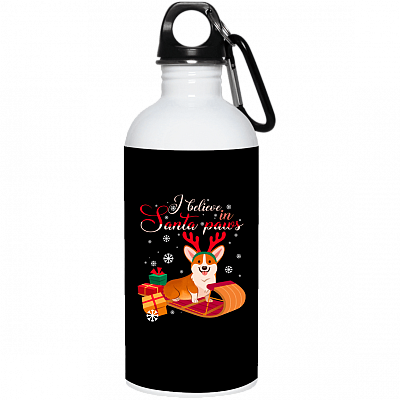 20 oz. Stainless Water Bottle