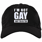 I'm Not Gay But 20 Bucks Is 20 Bucks Twill Cap - High-Profile Snapback Hat - Trucker Hat, Black, Brushed Twill Dad Cap