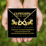 Capricorn Zodiac Your Plans Will Always Succeed Infinity Heart Pendant Necklace -  Zodiac Birthday Gifts For Astrology