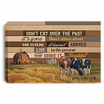 Don't Cry Over The Past It's Gone Don't Stress About The Future Farmhouse Decor Framed Canvas Unframed Poster, White, 0.75'' Framed Canvas Don't Cry Over The Past It's Gone Don't Stress About The Future Farmhouse Decor Framed Canvas Unframed Poster, White, 0.75'' Framed Canvas