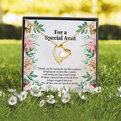 For a Special Aunt Thank You for Caring for Me Like a Parent Keeping My Secrets Like a Sister Forever Love Pendant Necklace