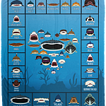 Love Sharks - Sharks Dictionary Collection Fleece Blanket - Premium Sherpa Blanket, White, Cozy Plush Fleece Blanket - 50x60