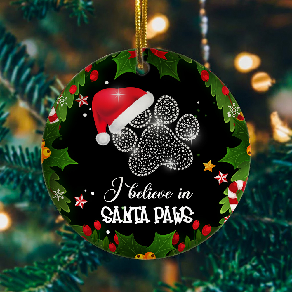 25TR. Santa paws oranment mk