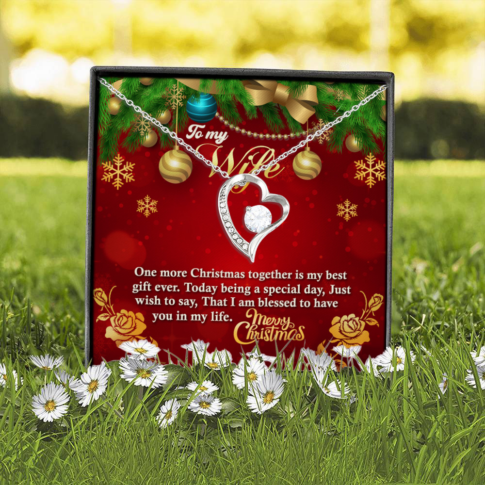 3O. To My Wife Christmas Forever Love Necklace (Silver) 2