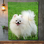 Blanket Mockup 3