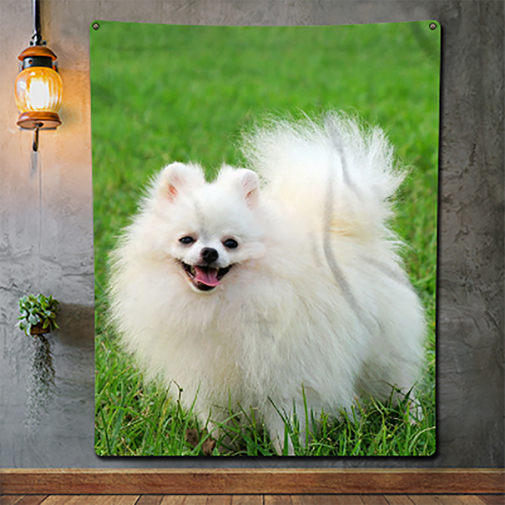 Blanket Mockup 3