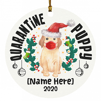 Circle Ornament