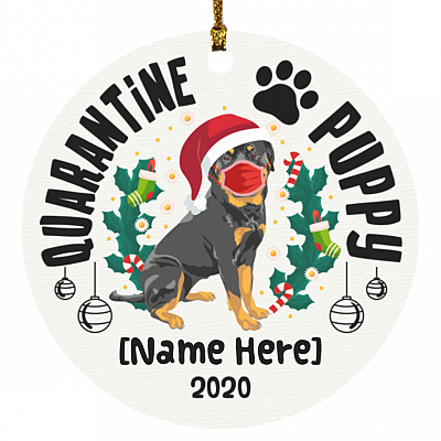 Circle Ornament