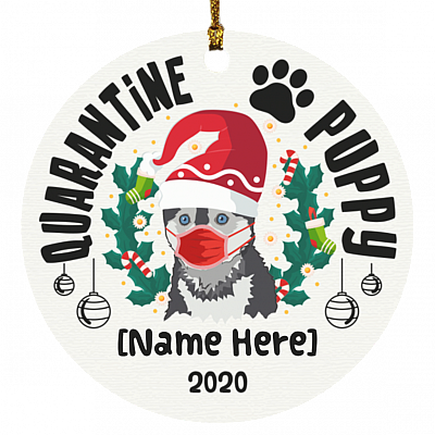 Circle Ornament