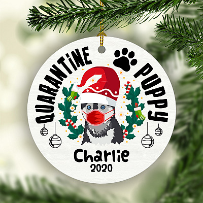 Personalized Pomsky Quarantine Puppy Dog Lover Christmas Gift Flat Holiday Circle Ornament Keepsake