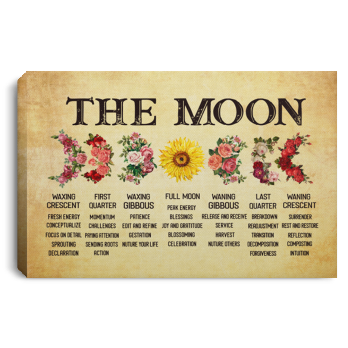 The Moon Waxing Crescent First Quarter Waxing Gibbous Full Moon Framed Canvas Prints - Unframed Poster, White, 0.75'' Framed Canvas The Moon Waxing Crescent First Quarter Waxing Gibbous Full Moon Framed Canvas Prints - Unframed Poster, White, 0.75'' Framed Canvas