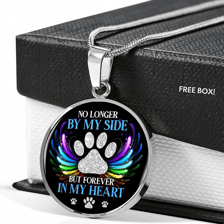 No Longer By My Side But Forever In My Heart Pet Memorial Circle Pendant Necklace - Pet Memorial Jewelry - Circle Luxury Necklace (Silver)