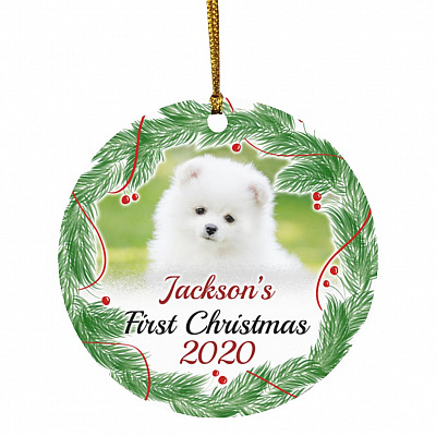 Personalized Photo Pet's First, White, Circle Ornament