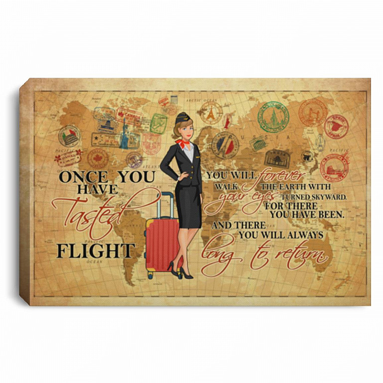 Once You Have Tasted Flight You, White, 0.75'' Framed Canvas