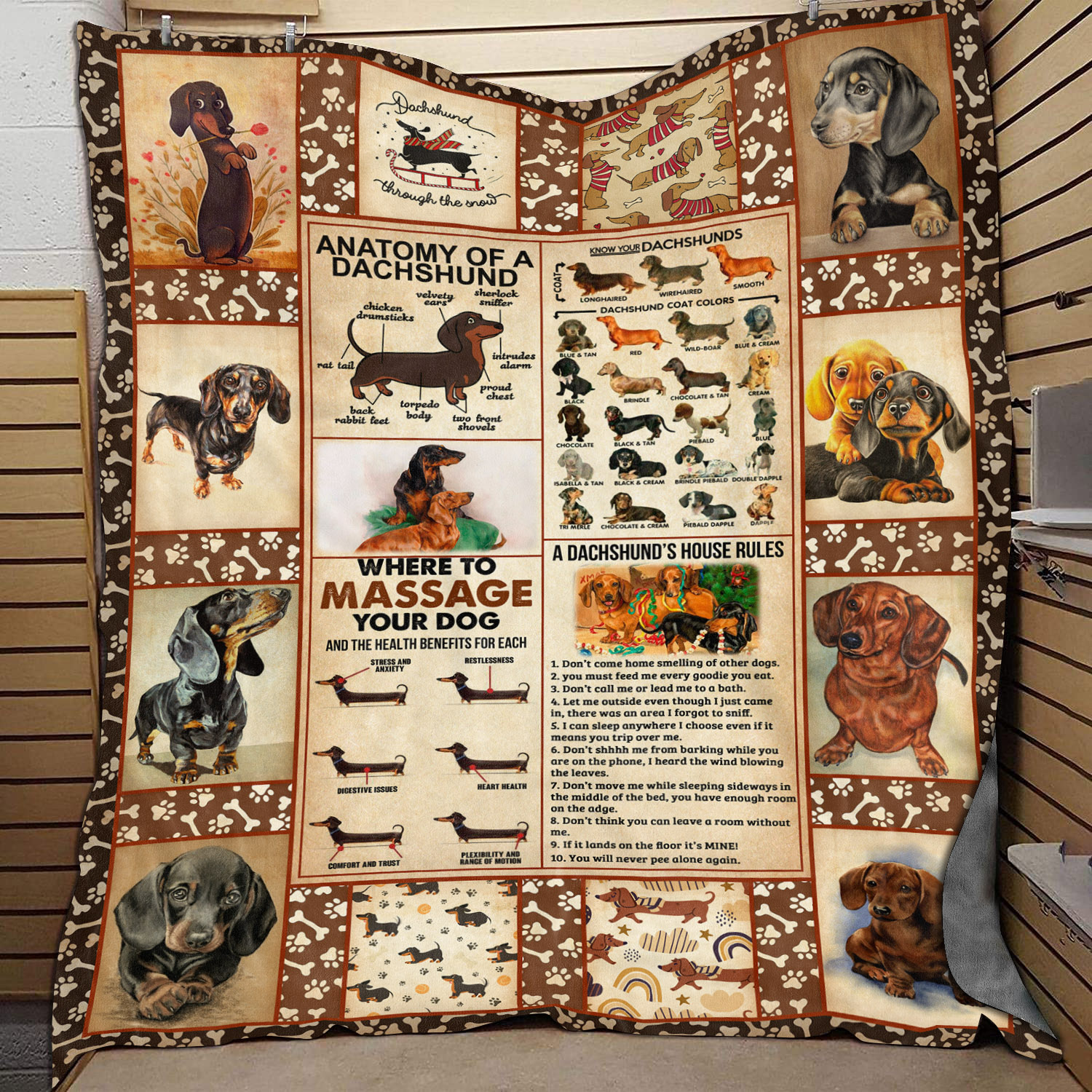 3O_ Dachshund Knowledge-MK