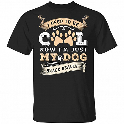 I Used to Be Cool Now T-Shirt, Black, Unisex T-Shirt