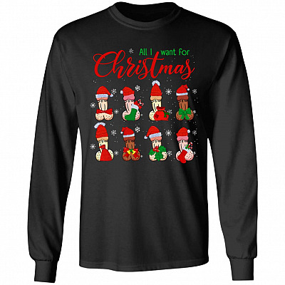Dirty Christmas All I Want for Christmas Is Penis Funny Dirty Christmas Gift for Couple Ugly Christmas Sweater Long Sleeve ", Black, Long Sleeve