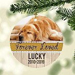 1VT. Forever Loved Dog Memorial mk2