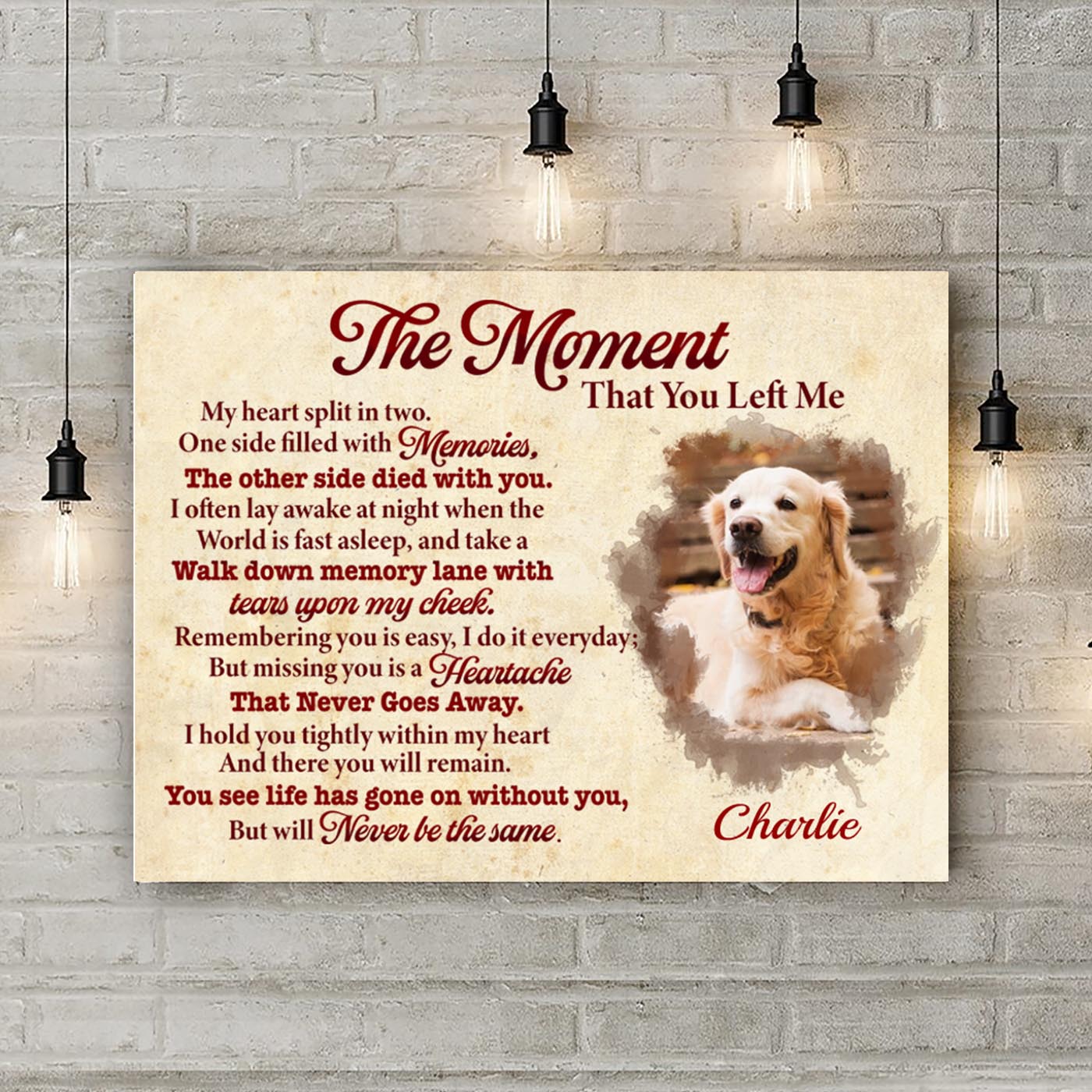 5VT. Labrador The Moment You Left Me mk1