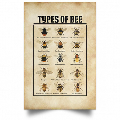 Unframed Poster