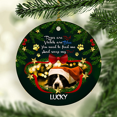 Alternative view of Personalized Photo Roses Are Red Violet Are Blue You Need To Feed Me and Scoop My Poo Circle Ornament