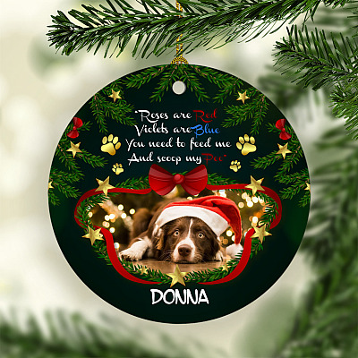 Personalized Photo Roses Are Red Violet Are Blue You Need To Feed Me and Scoop My Poo Circle Ornament