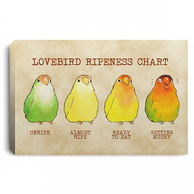 Lovebird Ripness Chart Framed Canvas - Funny Parrot Birds Unframed Poster, White, 0.75'' Framed Canvas