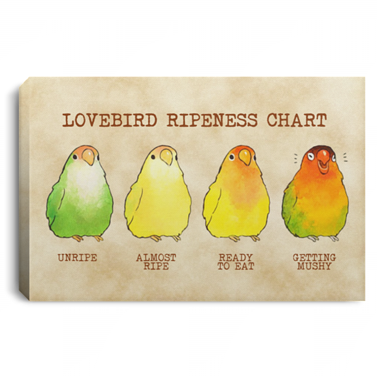 Lovebird Ripness Chart Framed Canvas - Funny Parrot Birds Unframed Poster, White, 0.75'' Framed Canvas