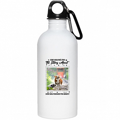20 oz. Stainless Water Bottle