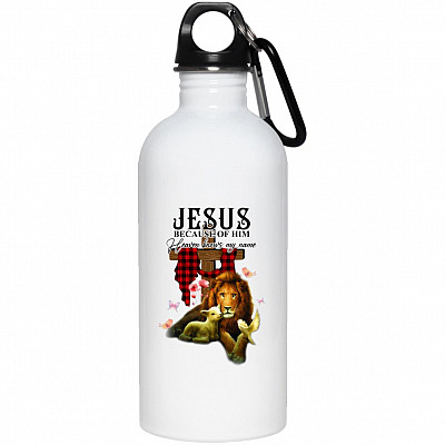 20 oz. Stainless Water Bottle