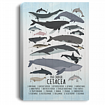 Whale Wall Decor Nursery Gallery Wrapped Framed Canvas - The Order Cetacea Unframed Poster, White, 0.75'' Framed Canvas Whale Wall Decor Nursery Gallery Wrapped Framed Canvas - The Order Cetacea Unframed Poster, White, 0.75'' Framed Canvas