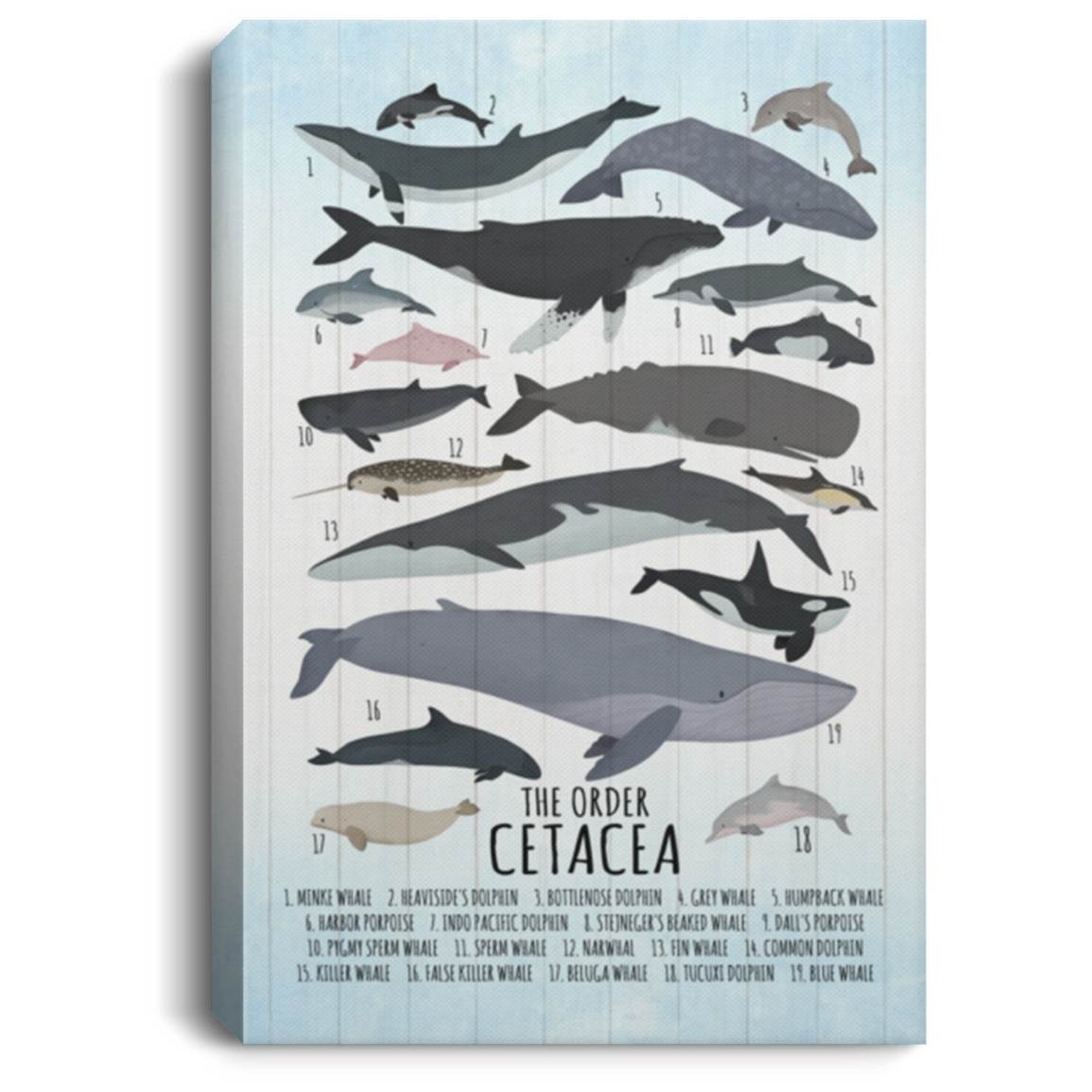 Whale Wall Decor Nursery Gallery Wrapped Framed Canvas - The Order Cetacea Unframed Poster, White, 0.75'' Framed Canvas Whale Wall Decor Nursery Gallery Wrapped Framed Canvas - The Order Cetacea Unframed Poster, White, 0.75'' Framed Canvas