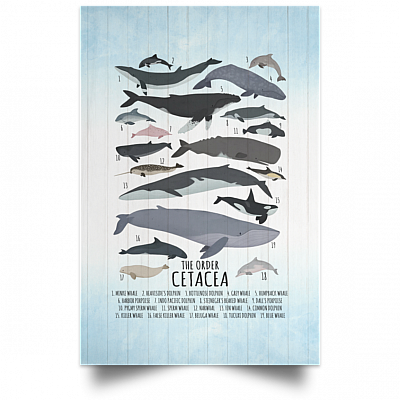 Unframed Poster