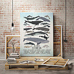 6MH. Whale Art-mk