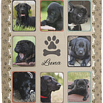 Personalized Photo Dog Blanket, White, Cozy Plush Fleece Blanket - 50x60