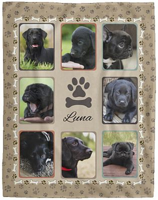 Cozy Plush Fleece Blanket - 60x80